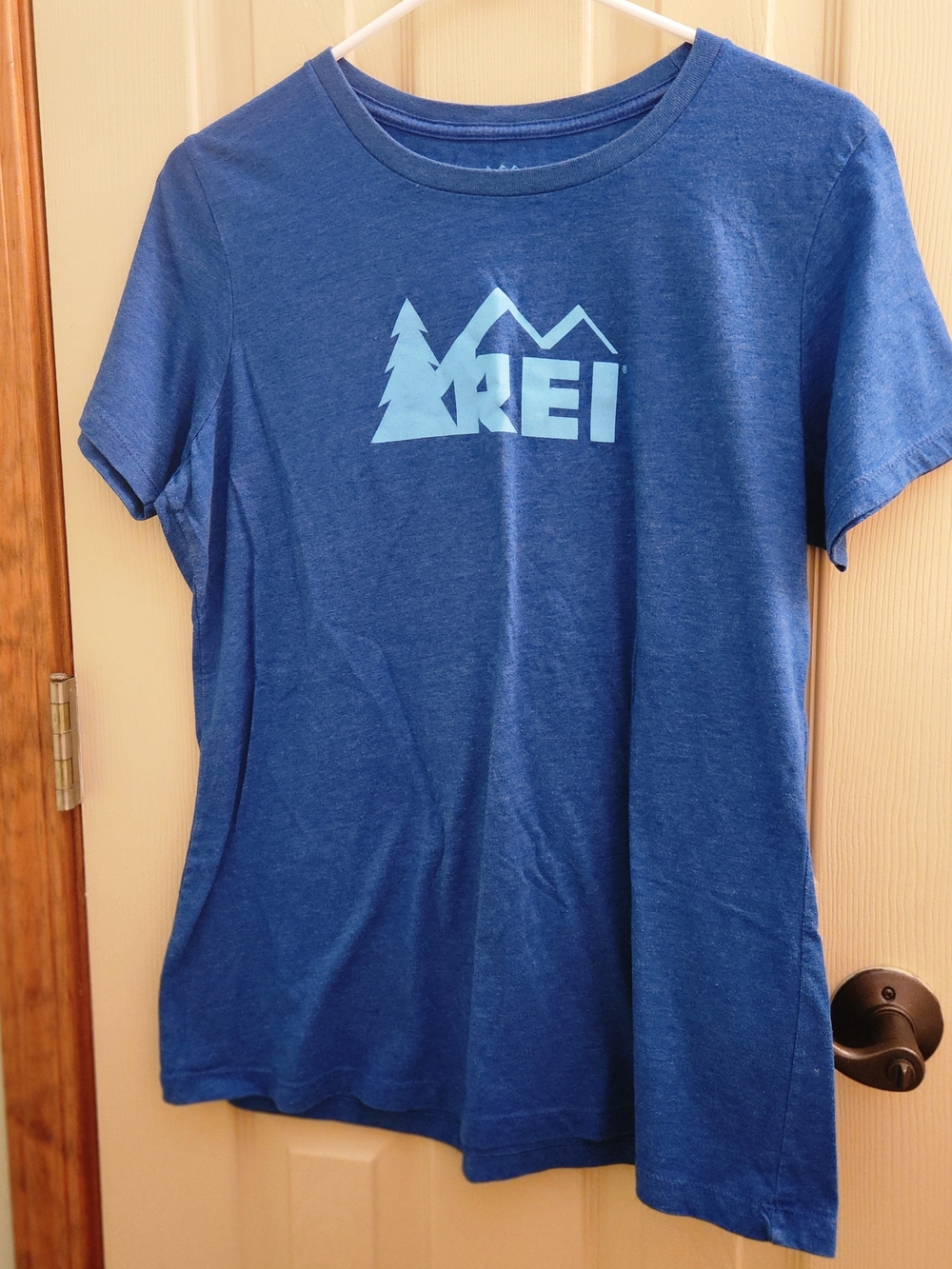 REI Logo Unisex Blue Crewneck T-Shirt Mountains Forest Sz XL
